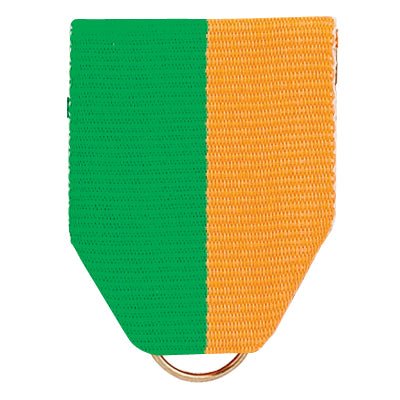 1-1/2 x 1-3/8 Inch Green and Gold Pin Back Ribbon-Brooches & Lapel Pins-Lapel Pin Corner