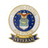 1-1/8 x 7/16 Inch U.S. Air Force Veteran Lapel Pin-Brooches & Lapel Pins-Lapel Pin Corner