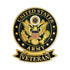 1-1/8 x 7/16 Inch U.S. Army Veteran Lapel Pin-Brooches & Lapel Pins-Lapel Pin Corner