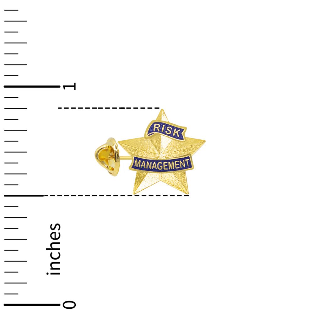 1-3/16 Inch 3D Risk Management Star Lapel Pin-Brooches & Lapel Pins-Lapel Pin Corner