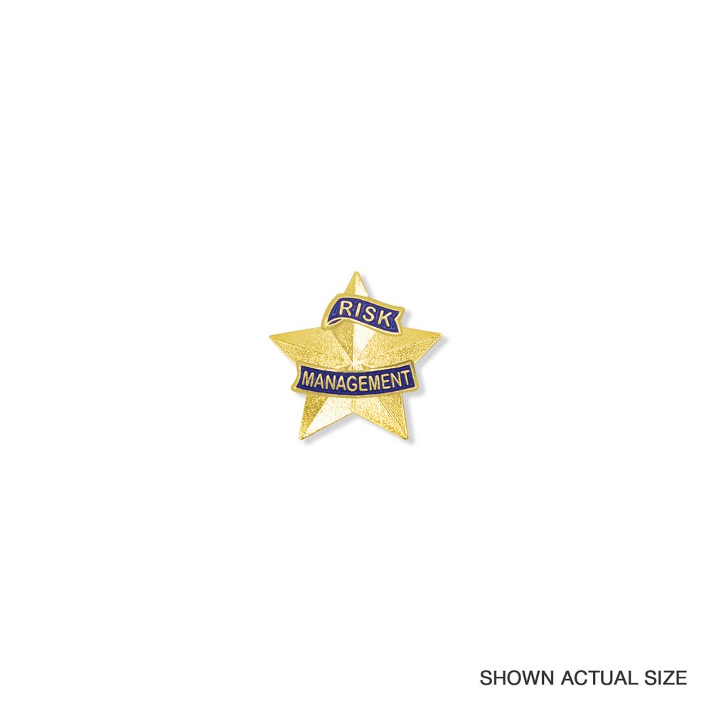 1-3/16 Inch 3D Risk Management Star Lapel Pin-Brooches & Lapel Pins-Lapel Pin Corner