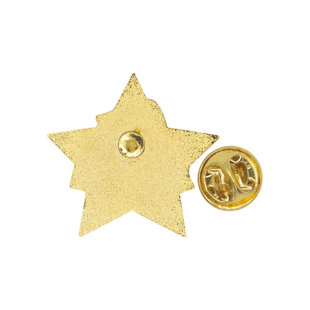 1-3/16 Inch 3D Risk Management Star Lapel Pin-Brooches & Lapel Pins-Lapel Pin Corner