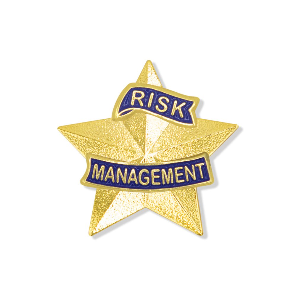 1-3/16 Inch 3D Risk Management Star Lapel Pin-Brooches & Lapel Pins-Lapel Pin Corner