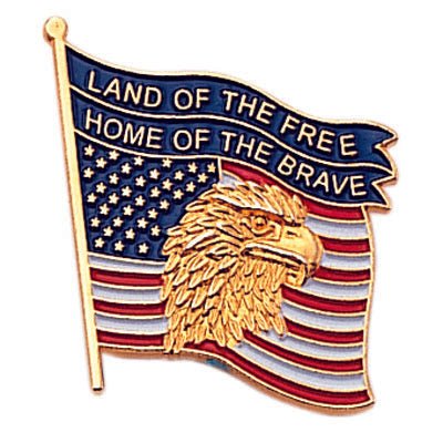 1 Inch Eagle on American Flag Enameled Lapel Pin-Brooches & Lapel Pins-Lapel Pin Corner