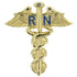 1 Inch Gold Nursing Caduceus Lapel Pin-Brooches & Lapel Pins-Lapel Pin Corner