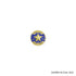 1 Inch "Gold Star Award Winner" with Star Enameled Lapel Pin-Brooches & Lapel Pins-Lapel Pin Corner