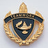 1 Inch Gold "Teamwork" with Lamp of Learning and Wreaths Enameled Lapel Pin-Brooches & Lapel Pins-Lapel Pin Corner