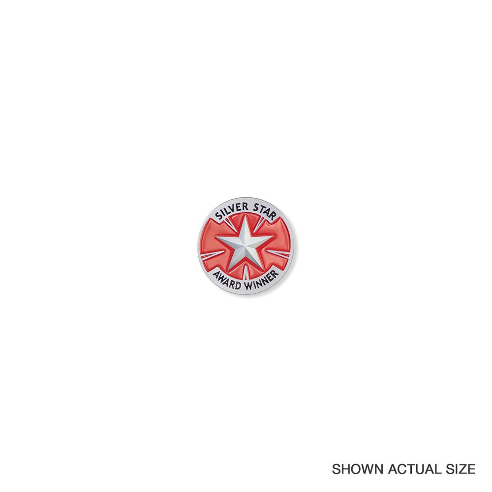 1 Inch "Silver Star Award Winner" with Star Enameled Lapel Pin-Brooches & Lapel Pins-Lapel Pin Corner