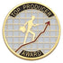 1 Inch "Top Producer Award" Enameled Lapel Pin-Brooches & Lapel Pins-Lapel Pin Corner