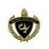 1 Inch Gold "Graduate" wih Lamp of Learning and Wreaths Enameled Lapel Pin - Lapel Pin Corner