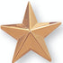 1 Inch Gold Star Lapel Pin - Lapel Pin Corner
