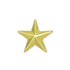 1/2 Inch Bright Star Lapel Pin-Brooches & Lapel Pins-Lapel Pin Corner