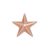 1/2 Inch Bright Star Lapel Pin-Brooches & Lapel Pins-Lapel Pin Corner