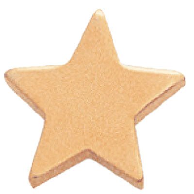 1/2 Inch Polished Gold Star Lapel Pin - Lapel Pin Corner