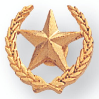 1/2 Inch Star and Wreath Lapel Pin - Lapel Pin Corner