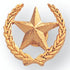 1/2 Inch Star and Wreath Lapel Pin - Lapel Pin Corner