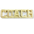 1/4 Inch Gold "Coach" Chenille Pin-Brooches & Lapel Pins-Lapel Pin Corner