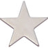 3/4 Inch Polished Star Lapel Pin-Brooches & Lapel Pins-Lapel Pin Corner