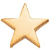 3/4 Inch Polished Star Lapel Pin-Brooches & Lapel Pins-Lapel Pin Corner