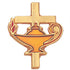 3/4 Inch Gold Cross with Lamp of Learning Enameled Lapel Pin - Lapel Pin Corner