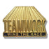 3/4 Inch Gold "Teamwork Wins the Race" Lapel Pin - Lapel Pin Corner
