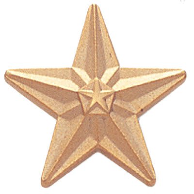 3/4 Inch Polished Star Lapel Pin - Lapel Pin Corner
