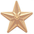 3/4 Inch Polished Star Lapel Pin - Lapel Pin Corner
