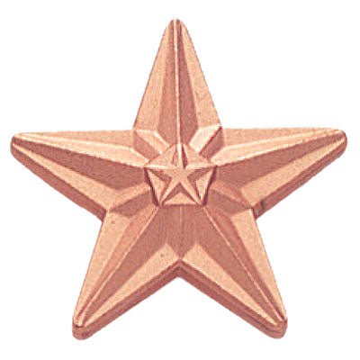 3/4 Inch Polished Star Lapel Pin - Lapel Pin Corner