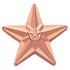 3/4 Inch Polished Star Lapel Pin - Lapel Pin Corner
