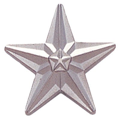 3/4 Inch Polished Star Lapel Pin - Lapel Pin Corner