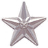 3/4 Inch Polished Star Lapel Pin - Lapel Pin Corner