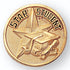 3/4 Inch Round "Star Student" with Star Enameled Lapel Pin - Lapel Pin Corner