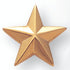5/8 Gold Star Lapel Pin - Lapel Pin Corner