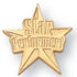 7/16 Inch Gold "Star Performer" on Star Chenille Pin-Brooches & Lapel Pins-Lapel Pin Corner