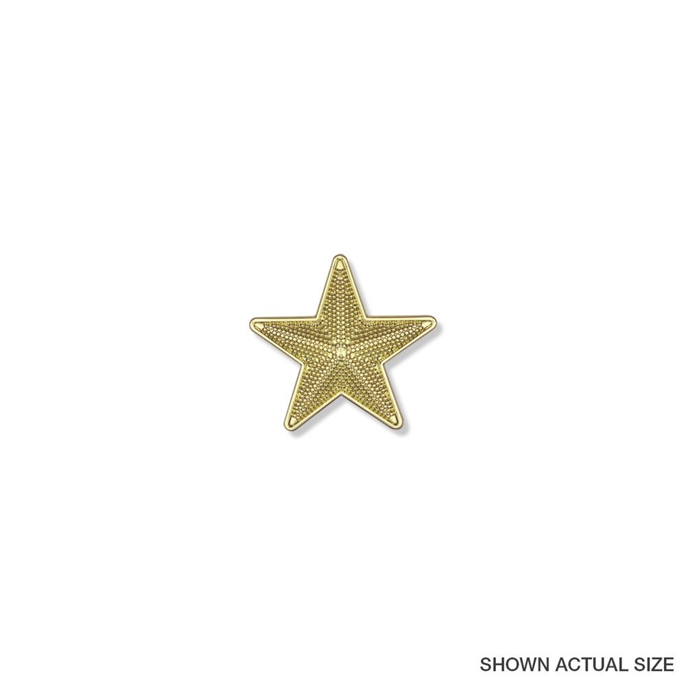 7/8 Inch Bright Gold 3D Textured Star Lapel Pin-Brooches & Lapel Pins-Lapel Pin Corner
