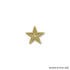7/8 Inch Bright Gold 3D Textured Star Lapel Pin-Brooches & Lapel Pins-Lapel Pin Corner