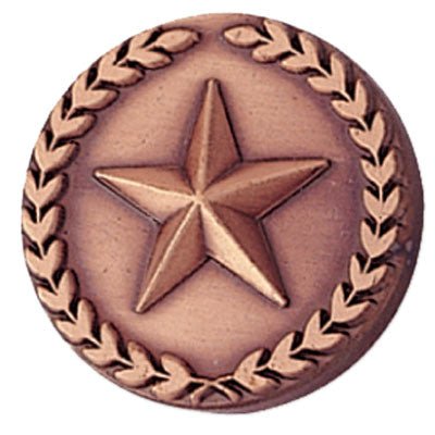 7/8 Inch Bronze Star with Wreath Lapel Pin-Brooches & Lapel Pins-Lapel Pin Corner