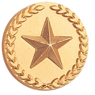 7/8 Inch Gold Star with Wreath Lapel Pin-Brooches & Lapel Pins-Lapel Pin Corner