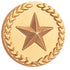 7/8 Inch Gold Star with Wreath Lapel Pin-Brooches & Lapel Pins-Lapel Pin Corner