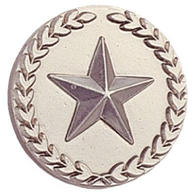 7/8 Inch Silver Star with Wreath Lapel Pin-Brooches & Lapel Pins-Lapel Pin Corner