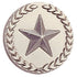 7/8 Inch Silver Star with Wreath Lapel Pin-Brooches & Lapel Pins-Lapel Pin Corner
