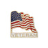 7/8 Inch Veteran American Flag Pin-Brooches & Lapel Pins-Lapel Pin Corner