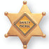 7/8 Gold Safety Patrol Badge Enameled Lapel Pin - Lapel Pin Corner