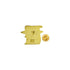 7/8 x 1 Inch Gold Graduation Hat & Scroll "Class of 2021" Lapel Pin-Brooches & Lapel Pins-Lapel Pin Corner