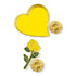 "Happy Valentine's Day" Color Themed Lapel Pin Gift Set - Includes Two Lapel Pins and Decorative Card - Lapel Pin Corner